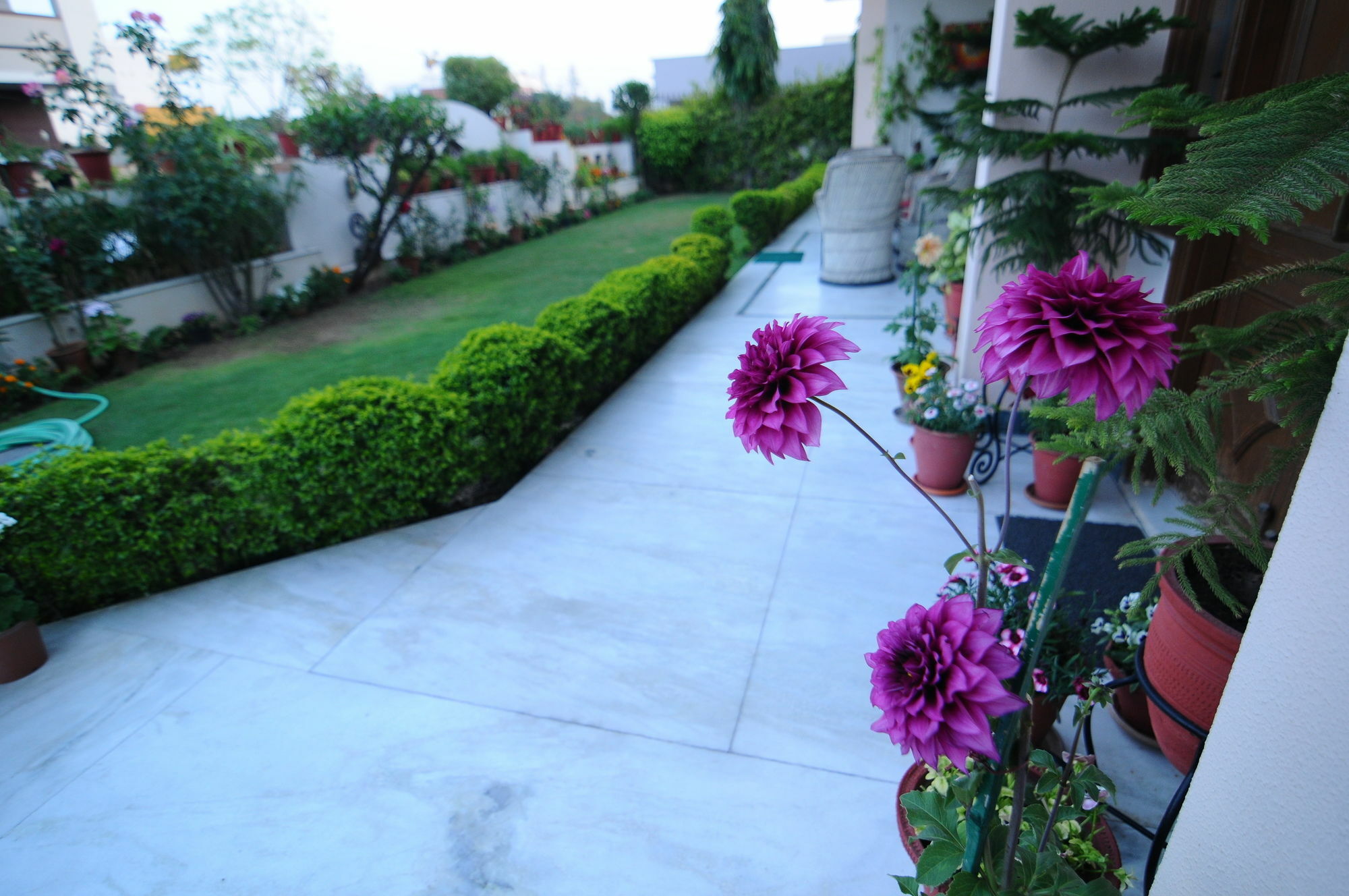 Jaipur Friendly Villa Exterior foto